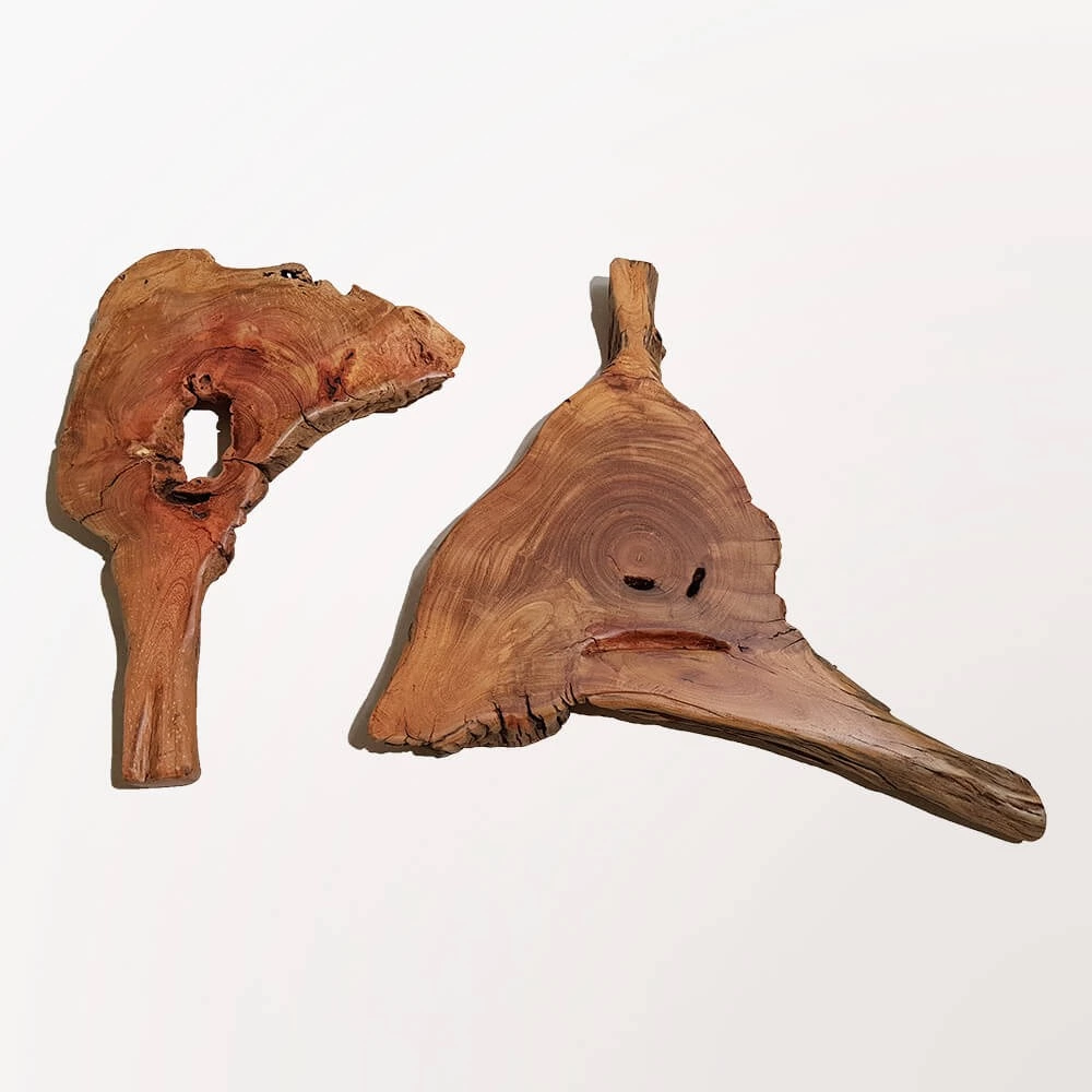 Esculturas Leque - par (2 unidades)