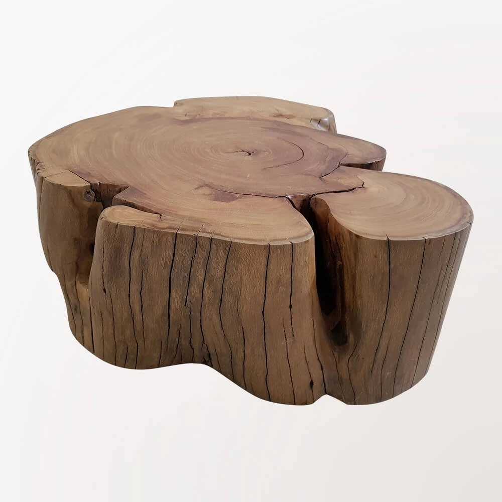 Coffee Table - Elephant